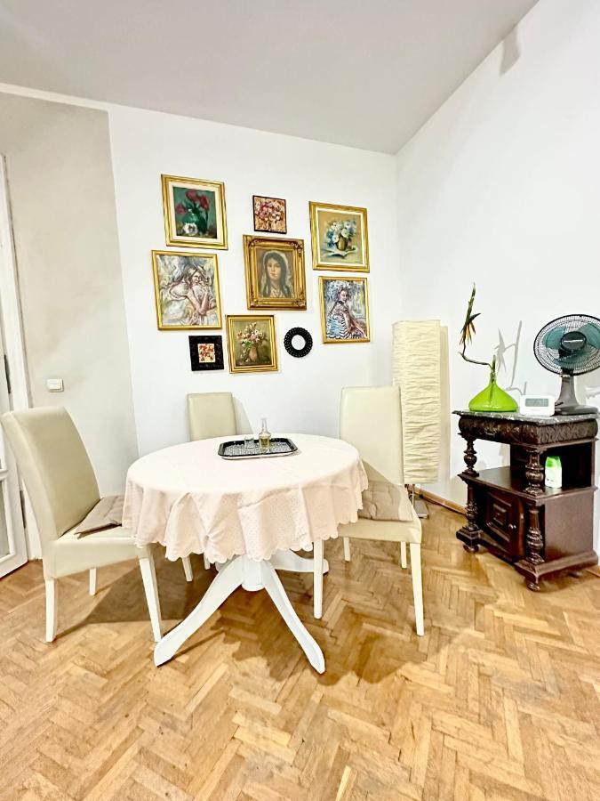 Charming Apartament City Center Timişoara Exterior foto