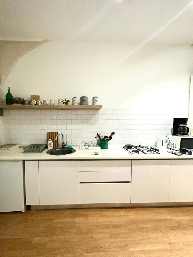 Charming Apartament City Center Timişoara Exterior foto