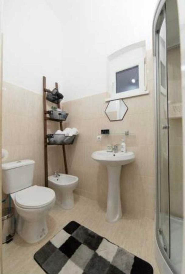Charming Apartament City Center Timişoara Exterior foto